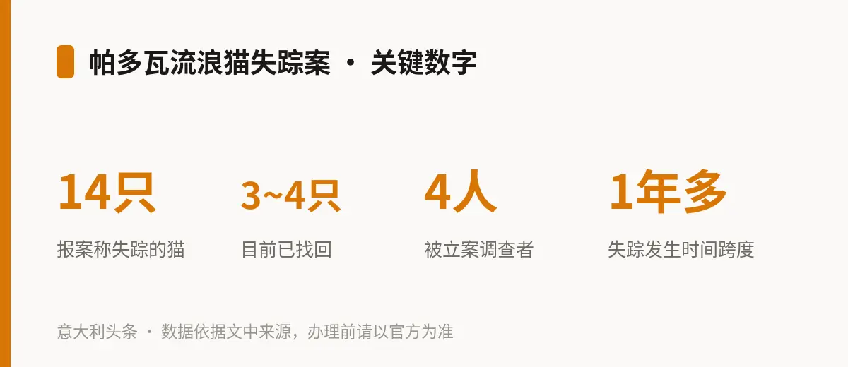 帕多瓦流浪猫失踪案 · 关键数字