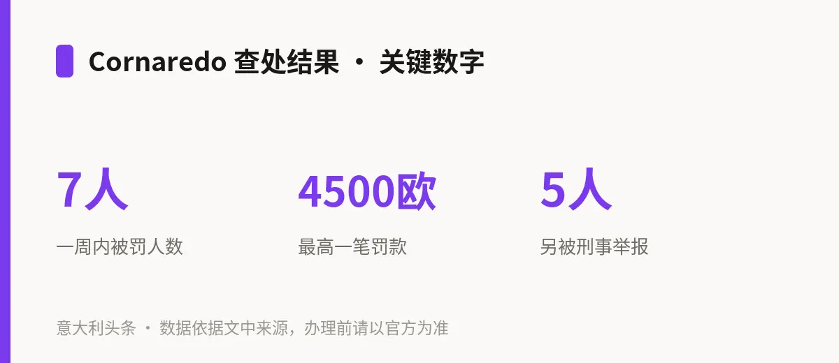 Cornaredo 查处结果 · 关键数字