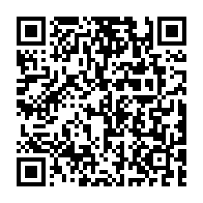 本文二维码
