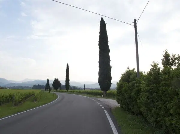 资料图:维罗纳省 Valpolicella 的葡萄园与乡间公路,与本报道所涉企业无关(图:iv78x / CC BY-SA 2.0,Flickr)